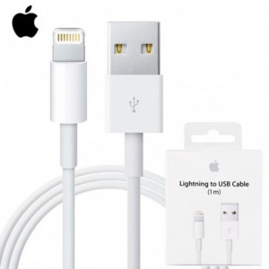 Câble USB / Lightning - 1M - Original Apple